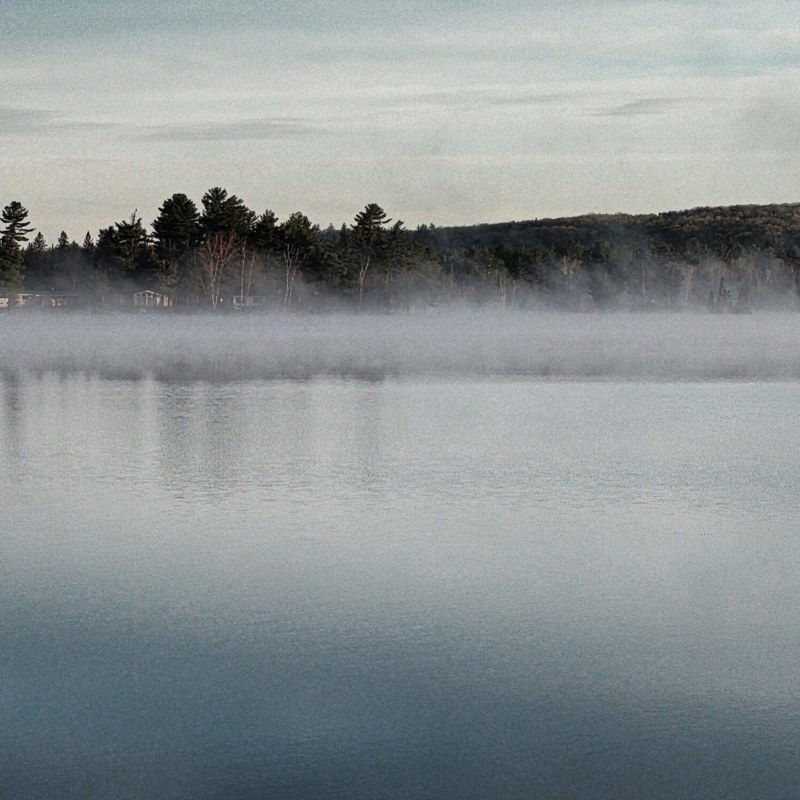 foggy-1